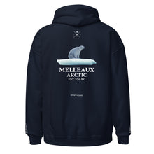 Load image into Gallery viewer, &#39;Melleaux Arctic&#39; Embroidered Hoodie